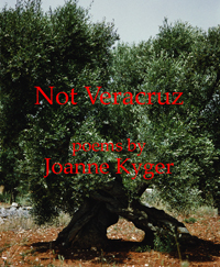 Joan Kyger : NOT VERACRUZ 